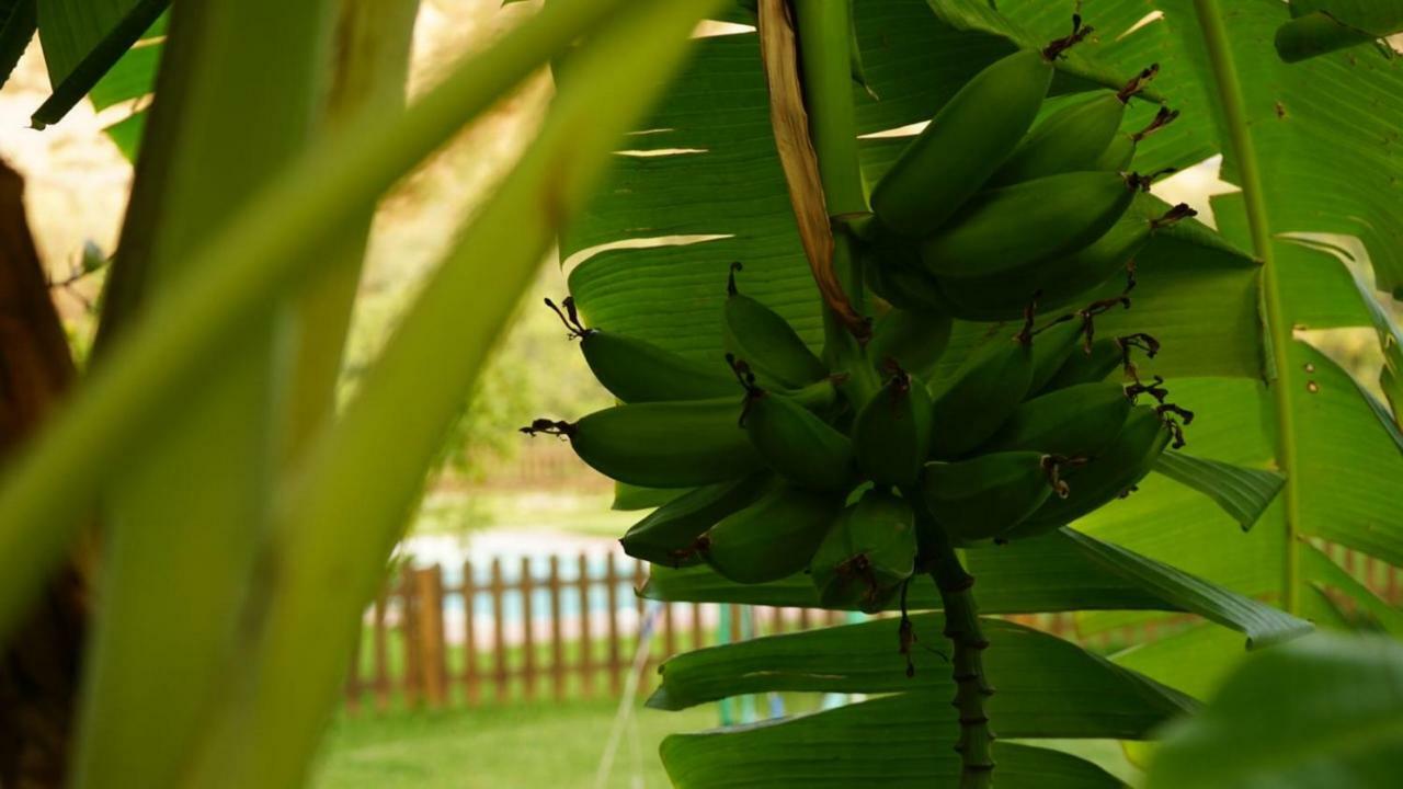 Tropical Studio Орхива Экстерьер фото